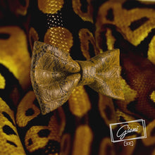 Laden und Abspielen von Videos im Galerie-Viewer, Phython Fliege - Gianibowtie