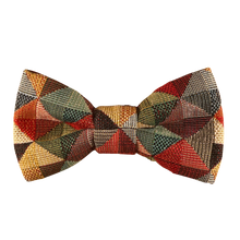 Lade das Bild in den Galerie-Viewer, Bestseller Fliege - Gianibowtie