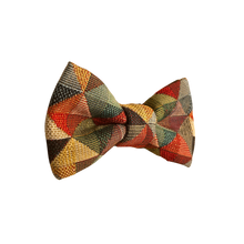 Lade das Bild in den Galerie-Viewer, Bestseller Fliege - Gianibowtie