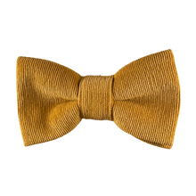 Lade das Bild in den Galerie-Viewer, Curry Cord Fliege - Gianibowtie