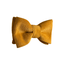 Lade das Bild in den Galerie-Viewer, Curry Cord Fliege - Gianibowtie