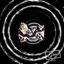 Lade das Bild in den Galerie-Viewer, Black & White Fliege - Gianibowtie