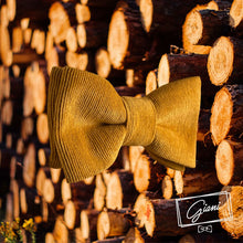 Lade das Bild in den Galerie-Viewer, Curry Cord Fliege - Gianibowtie