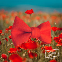 Lade das Bild in den Galerie-Viewer, Leinen Fliege Knallrot - Gianibowtie