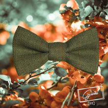 Lade das Bild in den Galerie-Viewer, Worsted Wool 100% Fliege Oliv/Orange  - Gianibowtie