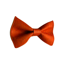 Lade das Bild in den Galerie-Viewer, Kork Fliege Rot (Vegan) - Gianibowtie