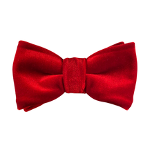 Lade das Bild in den Galerie-Viewer, Samt Fliege Rubinred - Gianibowtie