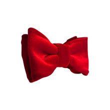 Lade das Bild in den Galerie-Viewer, Samt Fliege Rubinred - Gianibowtie