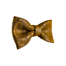 Lade das Bild in den Galerie-Viewer, Phython Fliege - Gianibowtie