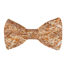 Lade das Bild in den Galerie-Viewer, Kork Fliege Van Gogh (Vegan) - Gianibowtie