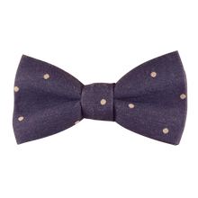 Lade das Bild in den Galerie-Viewer, Blau mit Pünktchen Fliege - Gianibowtie