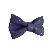Lade das Bild in den Galerie-Viewer, Blau mit Pünktchen Fliege - Gianibowtie
