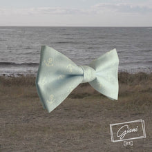 Laden und Abspielen von Videos im Galerie-Viewer, Nordsee Fliege - Gianibowtie