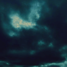 Laden und Abspielen von Videos im Galerie-Viewer, Fliege des Rumtreibers - Gianibowtie